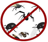 Dedetizadoras em Hortolândia